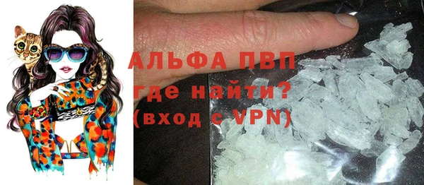 гидра Алексин