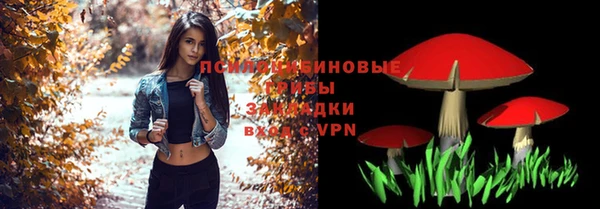 гидра Алексин